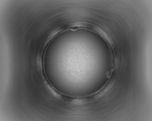 X0000113930898200910021240