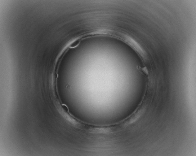 X0000113930900200910021240