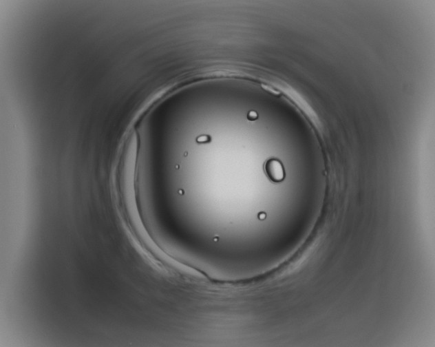 X0000113930901200910021240