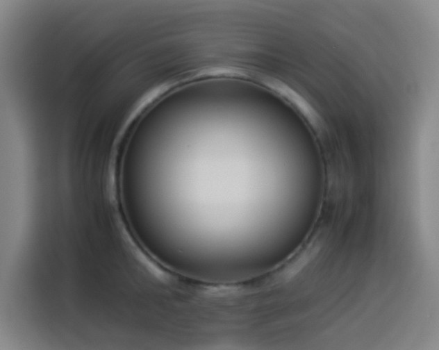 X0000113930902200910021240