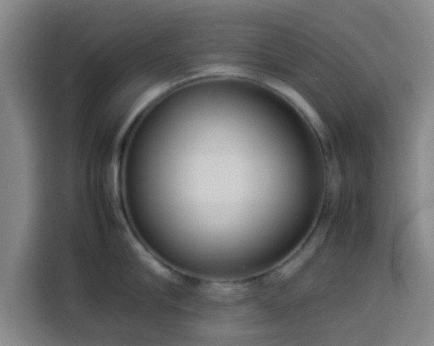 X0000113930910200910021240