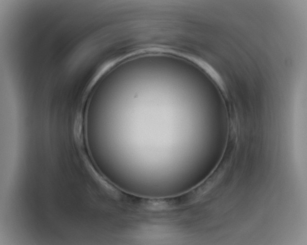 X0000113930911200910021240