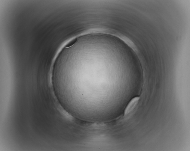 X0000113930912200910021240