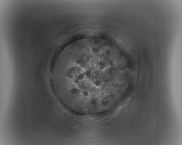 X0000113930913200910021239