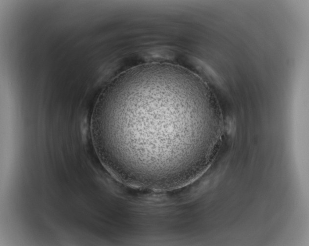 X0000113930915200910021239