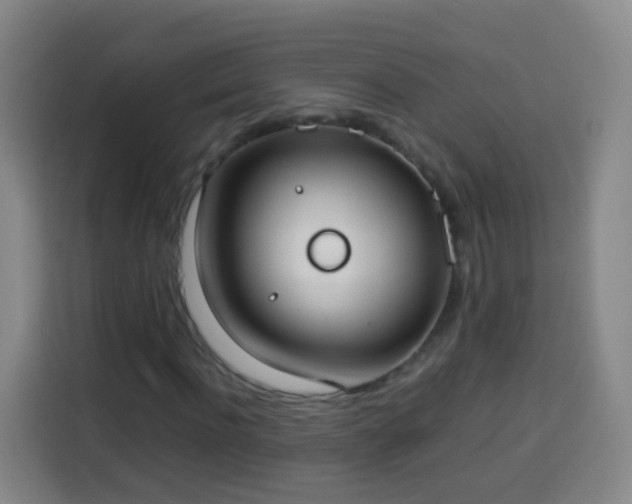 X0000113930916200910021239