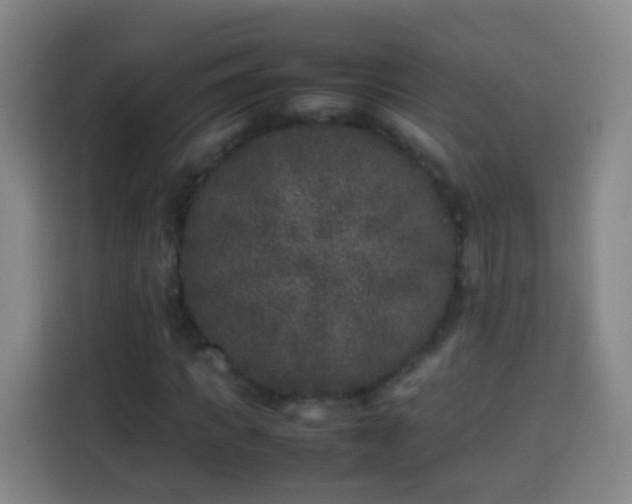 X0000113930917200910021239