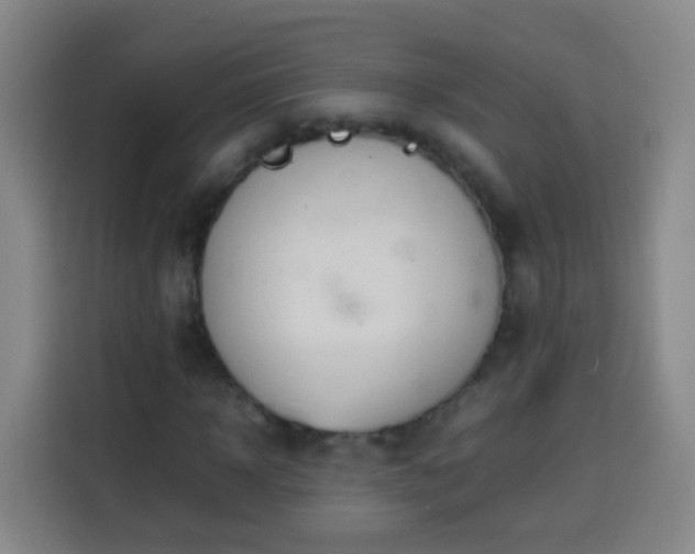 X0000113930918200910021239