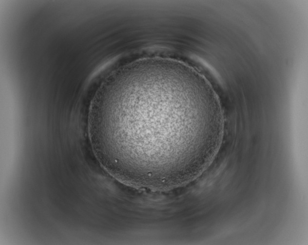 X0000113930919200910021239