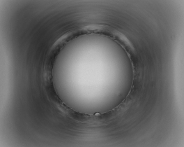X0000113930920200910021239