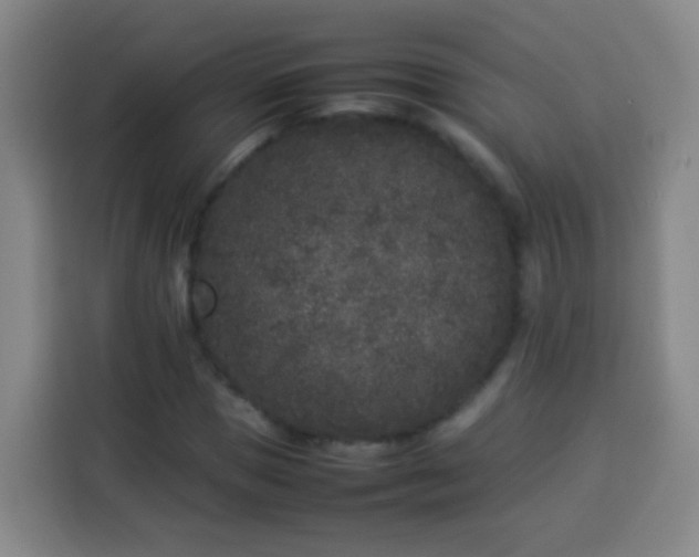X0000113930921200910021239