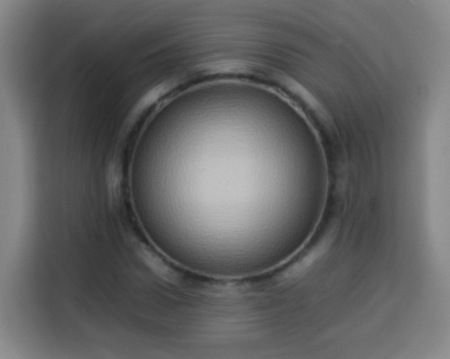 X0000113930922200910021239