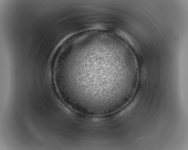 X0000113930923200910021239