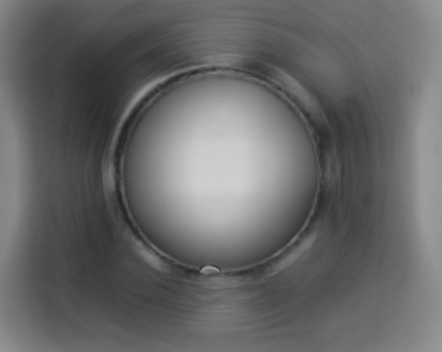 X0000113930924200910021239