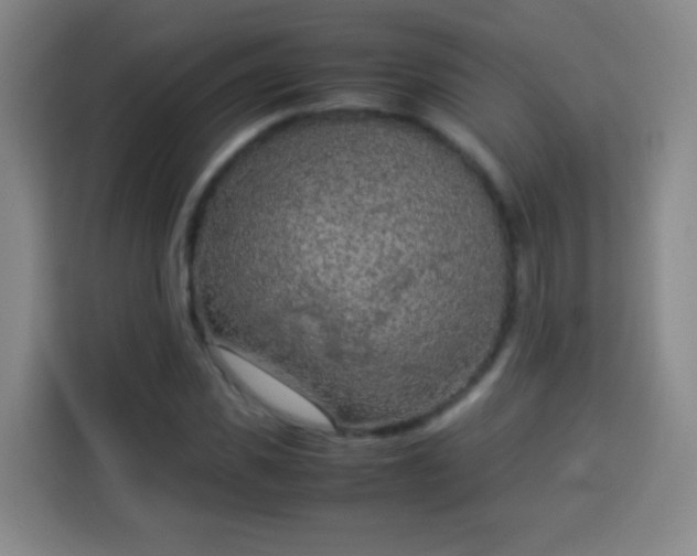 X0000113930925200910021239