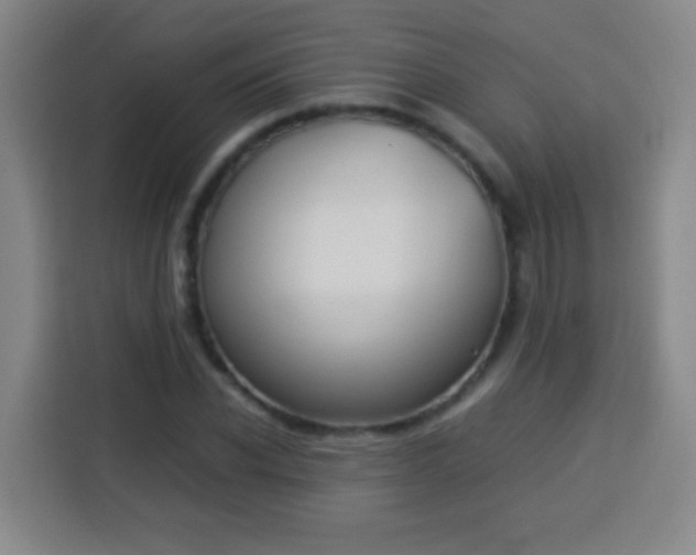 X0000113930926200910021239