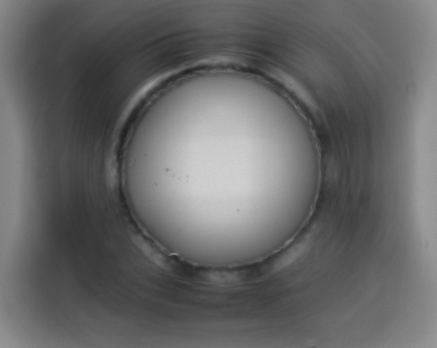 X0000113930927200910021239