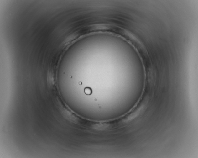 X0000113930929200910021239