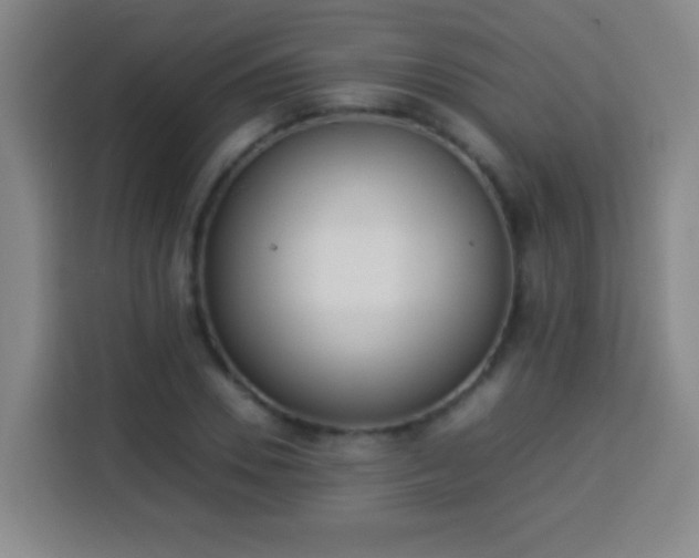 X0000113930930200910021239