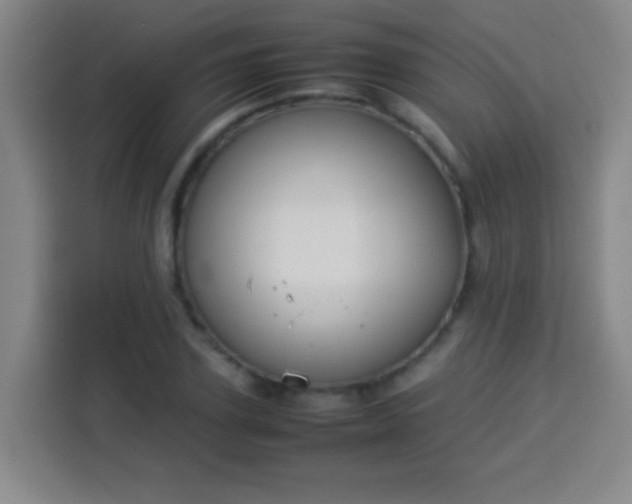 X0000113930931200910021239
