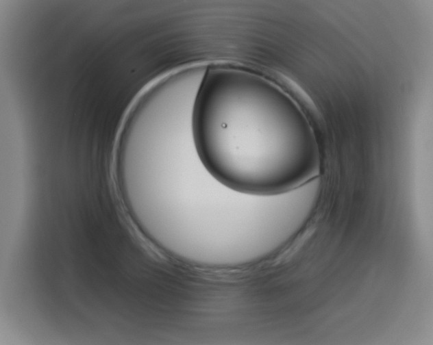 X0000113930932200910021239