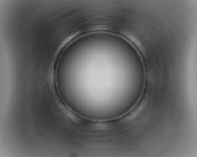 X0000113930933200910021239