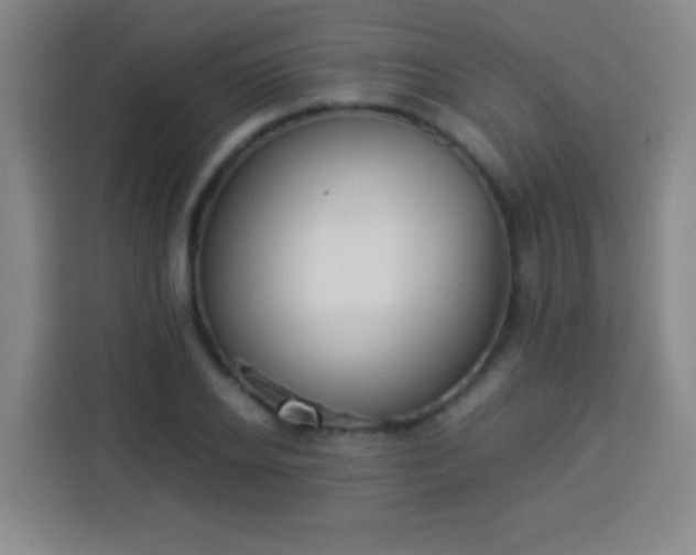 X0000113930934200910021239