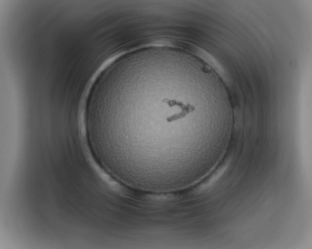 X0000113930939200910021239