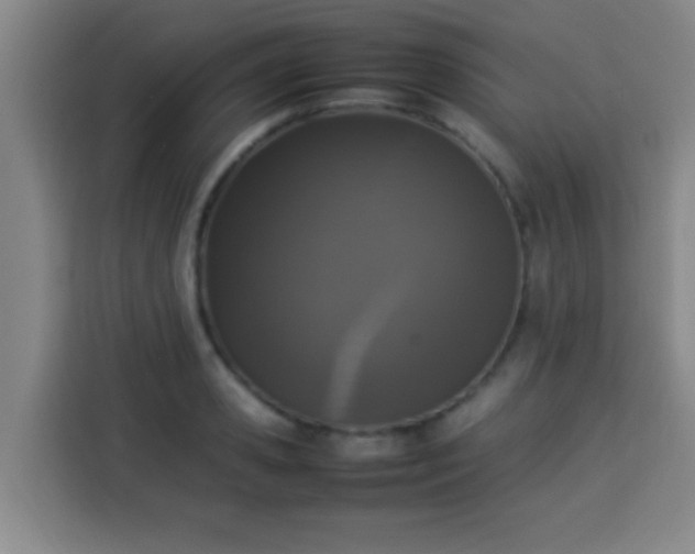 X0000113930941200910021239