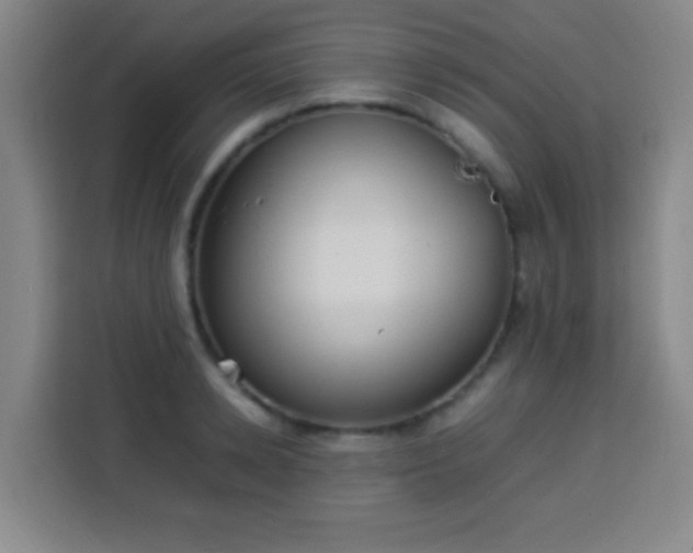 X0000113930942200910021239