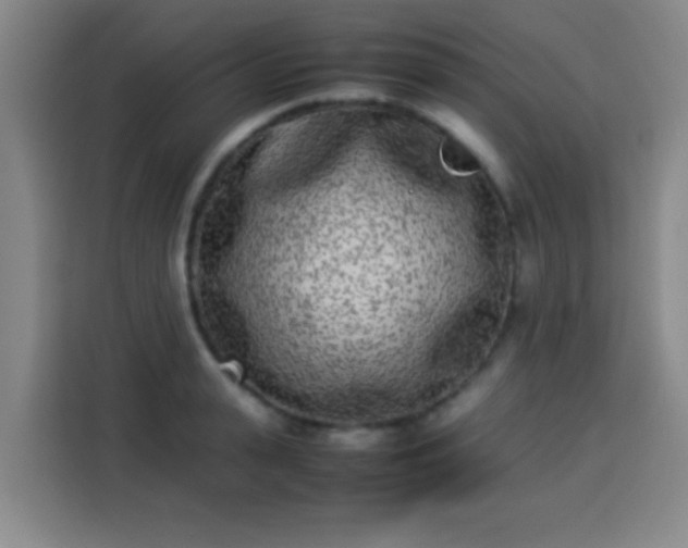 X0000113930943200910021239