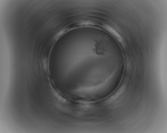 X0000113930945200910021239