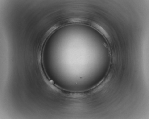 X0000113930946200910021239