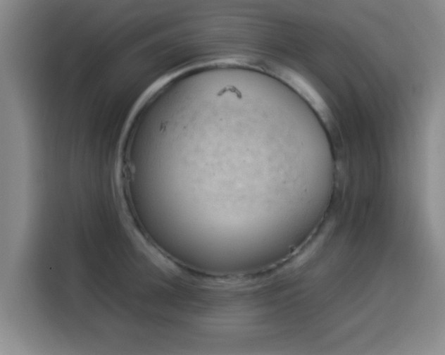 X0000113930948200910021239
