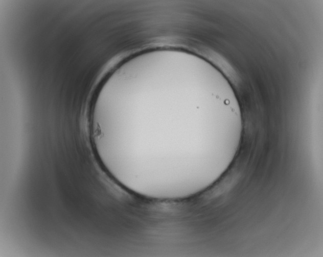 X0000113930950200910021239