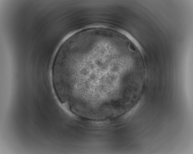 X0000113930951200910021239