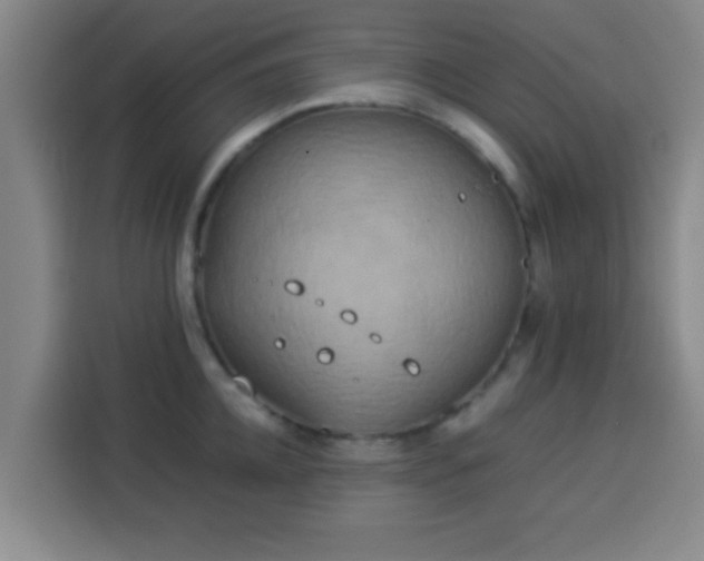 X0000113930952200910021240