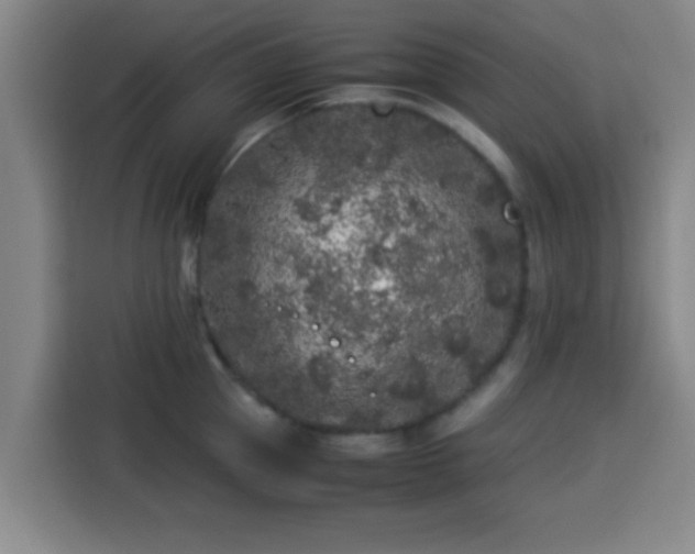X0000113930953200910021240