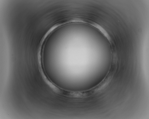 X0000113930955200910021240