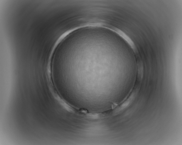 X0000113930956200910021240