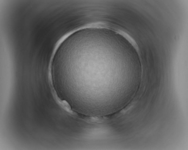 X0000113930960200910021240