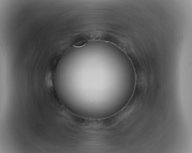 X0000113930962200910021239