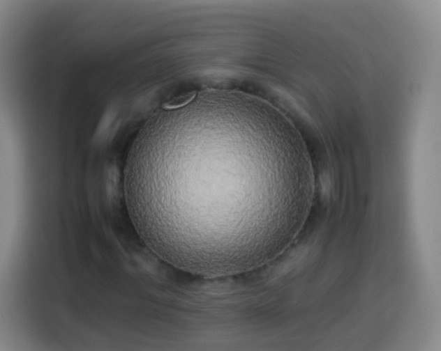 X0000113930964200910021239