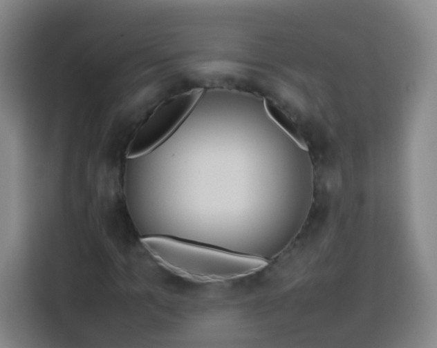 X0000113930965200910021239
