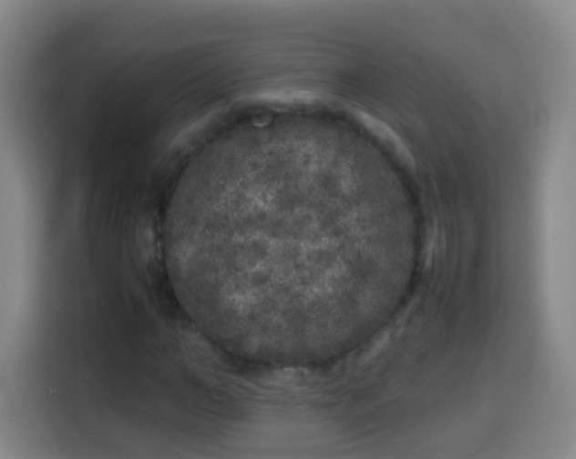 X0000113930966200910021239