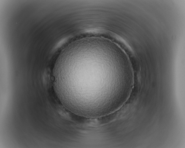 X0000113930968200910021239