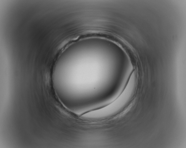 X0000113930969200910021239