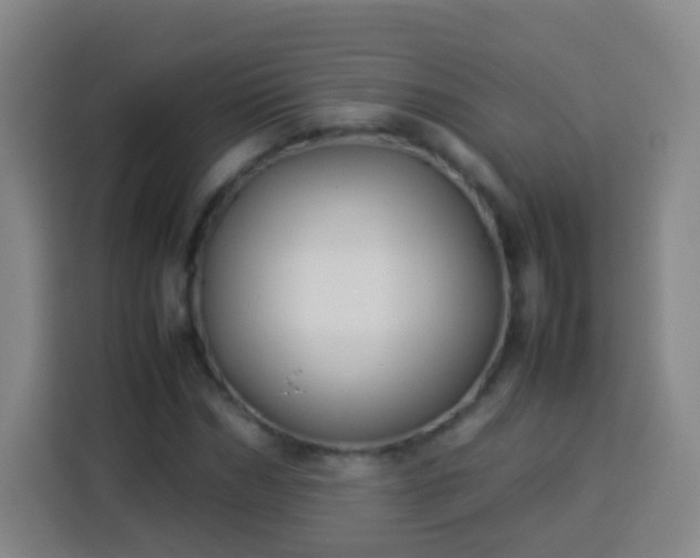 X0000113930970200910021239