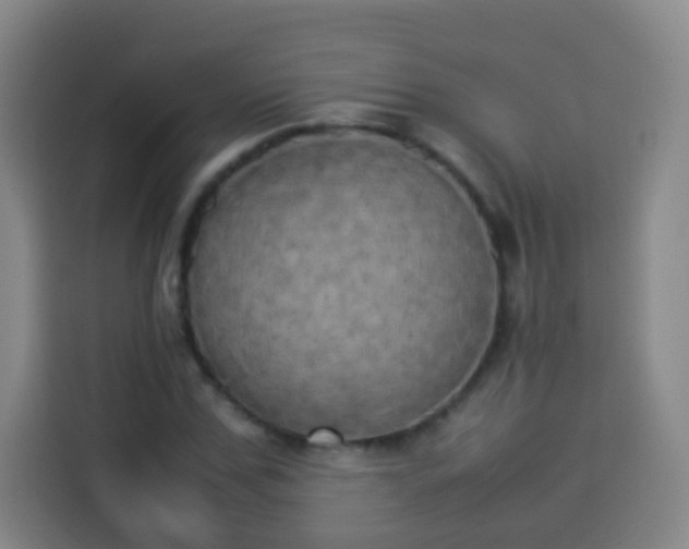 X0000113930971200910021239