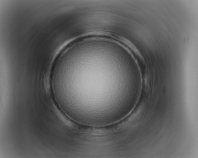 X0000113930972200910021239